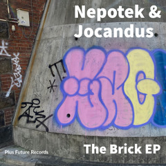 Premiere: Nepotek & Jokandus - Burning (Jokandus original mix) [Plus Future Records]
