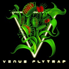 Venus Flytrap