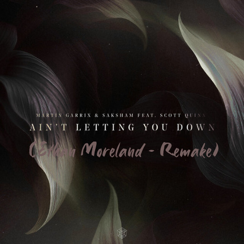 Martin Garrix and Saksham feat. Scott Quinn - Ain’t Letting You Down (Ethan Moreland Remake