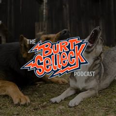 Episode 047 | These Dogs Are Barking