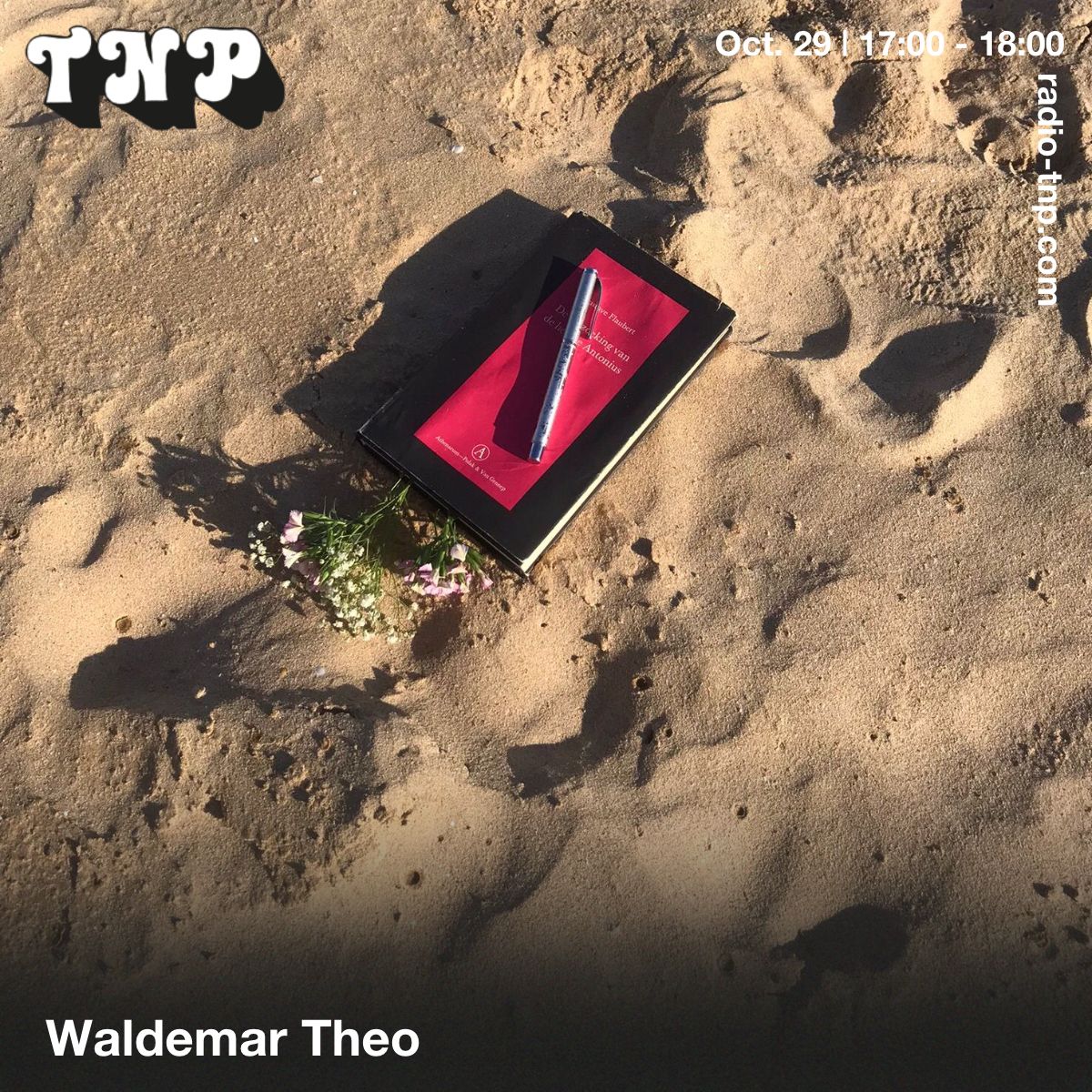 Waldemar Theo