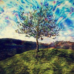 Communication With Nature