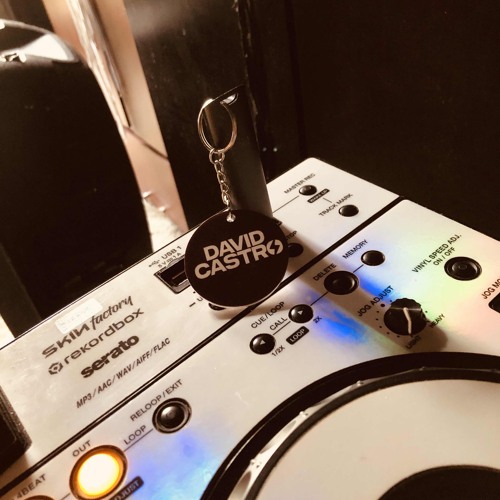 MUSICOLOGO - DAVID CASTRO