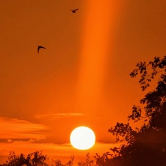 One Day... (Prod. Dexter Yu)