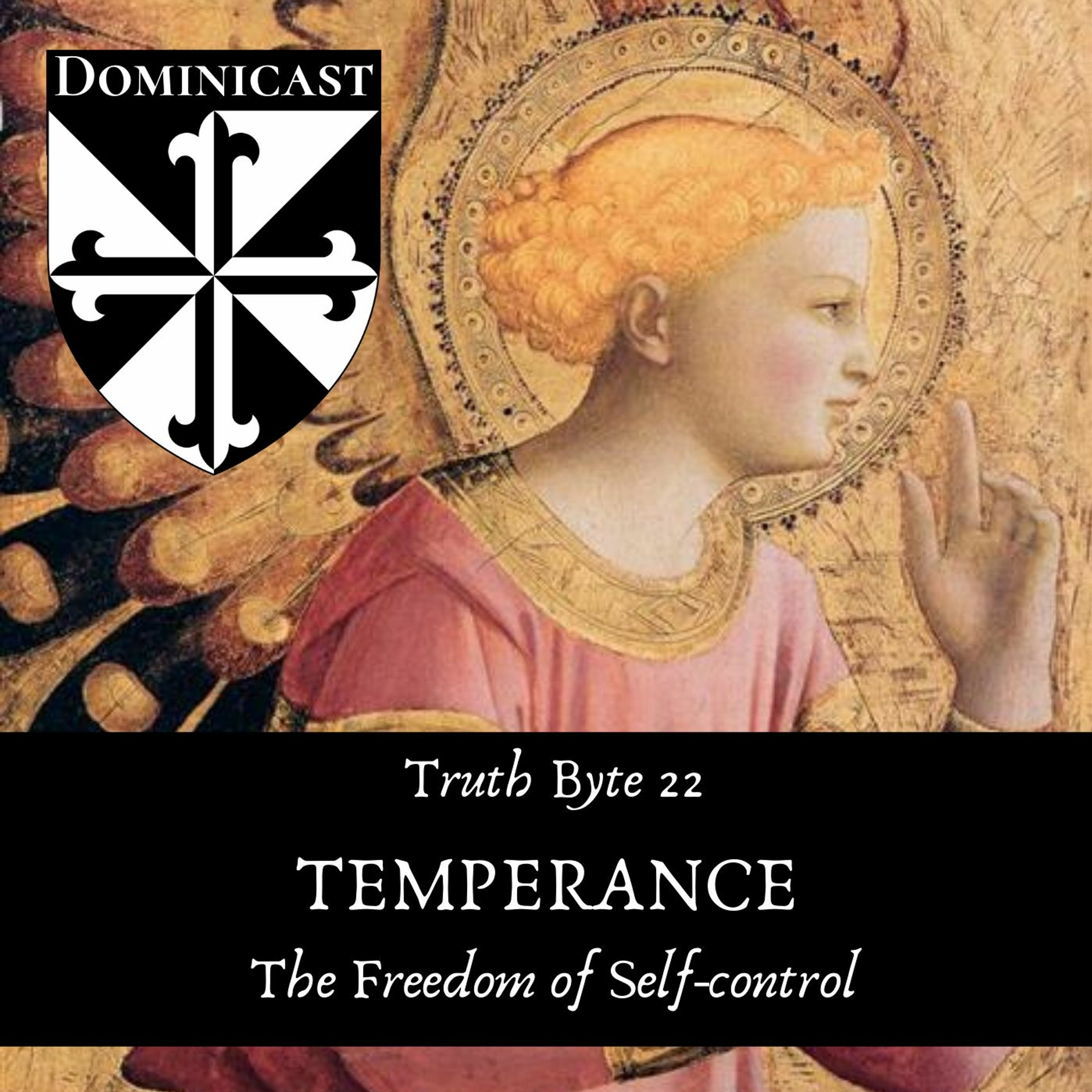 Temperance: The Freedom for Self-control - Truth Byte 22