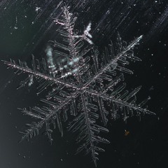 Magic Snowflake(Dance-Mix)