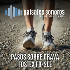 Pasos Fostex FR-2LE - RODE NT4