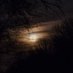 NoHo (Original Edit)