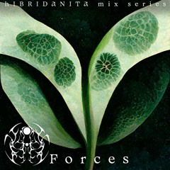 hlBRIDANITA mix series: Forces