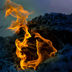 Pendant que les champs brûlent - Niagara cover by Co Taylor