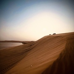 Oriental Mix (Organic House)