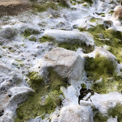 Florence Welch - SWEET NOTHING (Grapeey Remix)