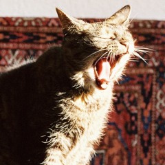 Katzenherbst&Morgenlatte by DJ Katzenminze