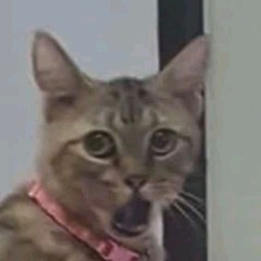 💞🫂
