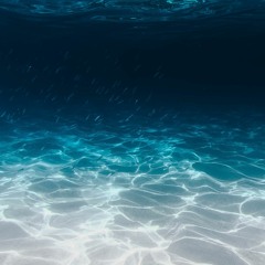 Ocean Eyes - Billie Eilish (John Holst REMIX)