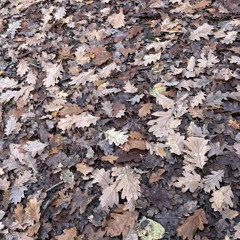 Things I can’t say