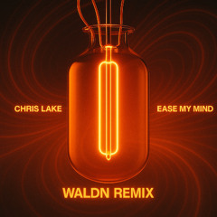 Chris Lake - Ease My Mind (WALDN Remix)