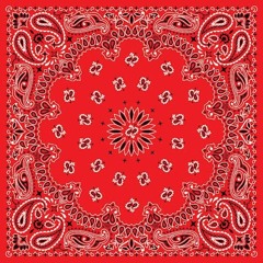 Red Bandana Ft. Ilycloudd [Skript]