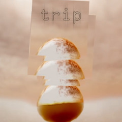 trip