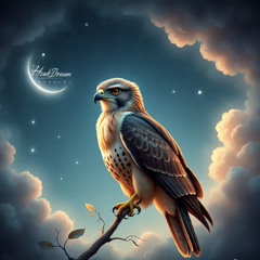 Fragments of Starlight 2