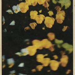 ritimler anlamaz beni sadece taşırlar