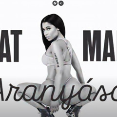 BEAT x MARIO - Aranyásó Official Audio