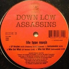 Down Low Assassins - Who Got What (Feat Party Arty)