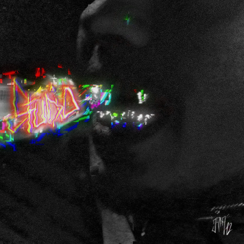 NevZed - Studio