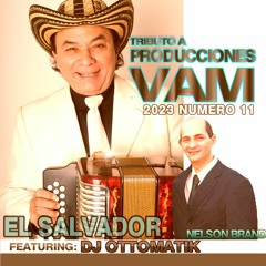 PRODUCCIONES VAM - 2023 NUMERO 11