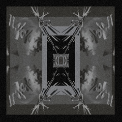 Pamela Z- You(ADLX's the voices rmx)