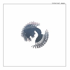 Internal Maps by Jack in Water