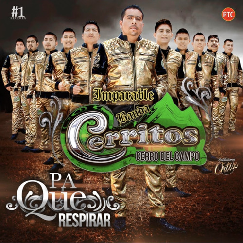 Imparable Banda Cerritos-El 47