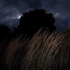 Agony w/ Weepings & Lil Malibu (prod. myss)