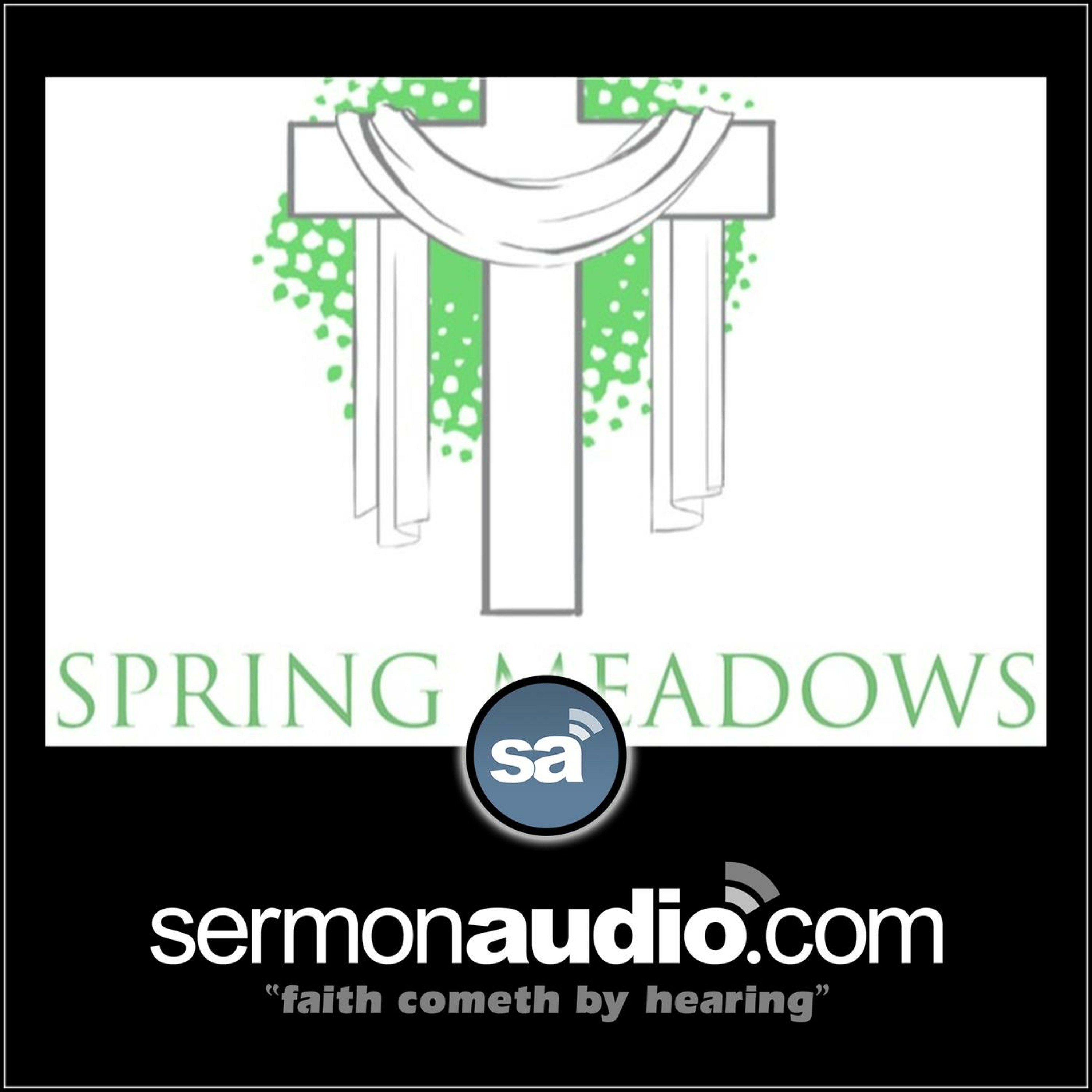 2 Corinthians 5:14-15 - Gospel Motives (4/2/23) episode artwork