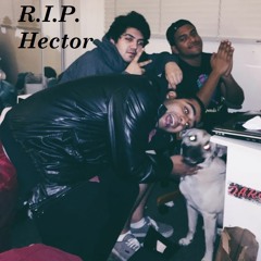 R.I.P. Hector (Produced By Sean C.)