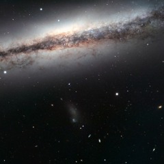 リズムと蒸気 new wav