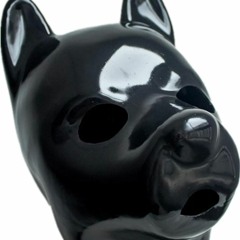 Dr White- Pup Gets Licked Bator Trainer