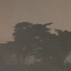 i am alone in a room full of people