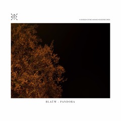 BLAÜW - Pandora