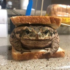 frogged ribbim