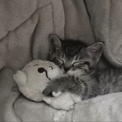 det var ikke sånn det skulle ende v2