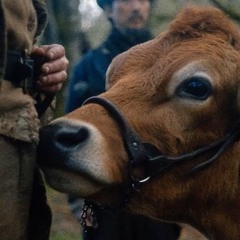 Episode 32 : First Cow