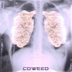 KIDDZ - COWEED