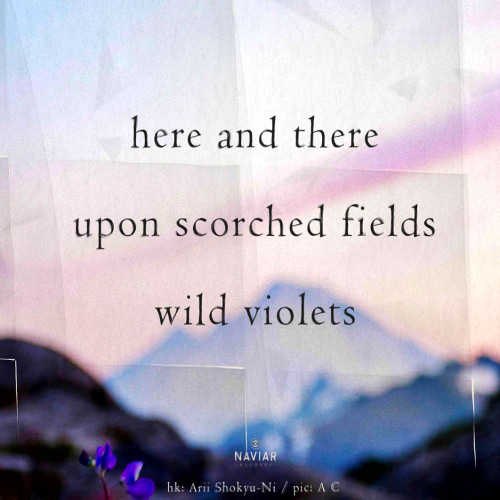 upon scorched fields [naviarhaiku582]