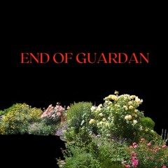 Lil Doxes - END OF GUARDAN PT2