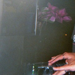 Live recording DJ Lenny @ mystical forest party