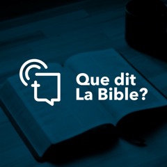 #291 - Dieu pardonne-t-il les péchés que nous avons commis intentionnellement