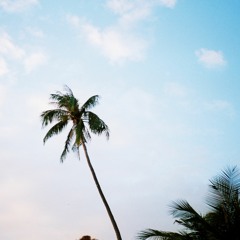 DANE @ Studio Adventure: Phu Quoc Odyssey - NYE Sunrise (live Set)