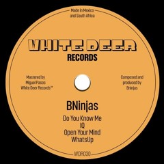 PREMIERE: Bninjas - WhatsUp [White Deer Records]