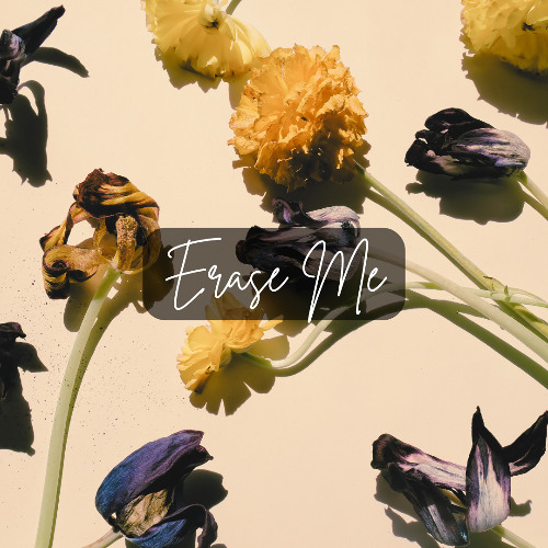Erase Me - Daydreamers 2025